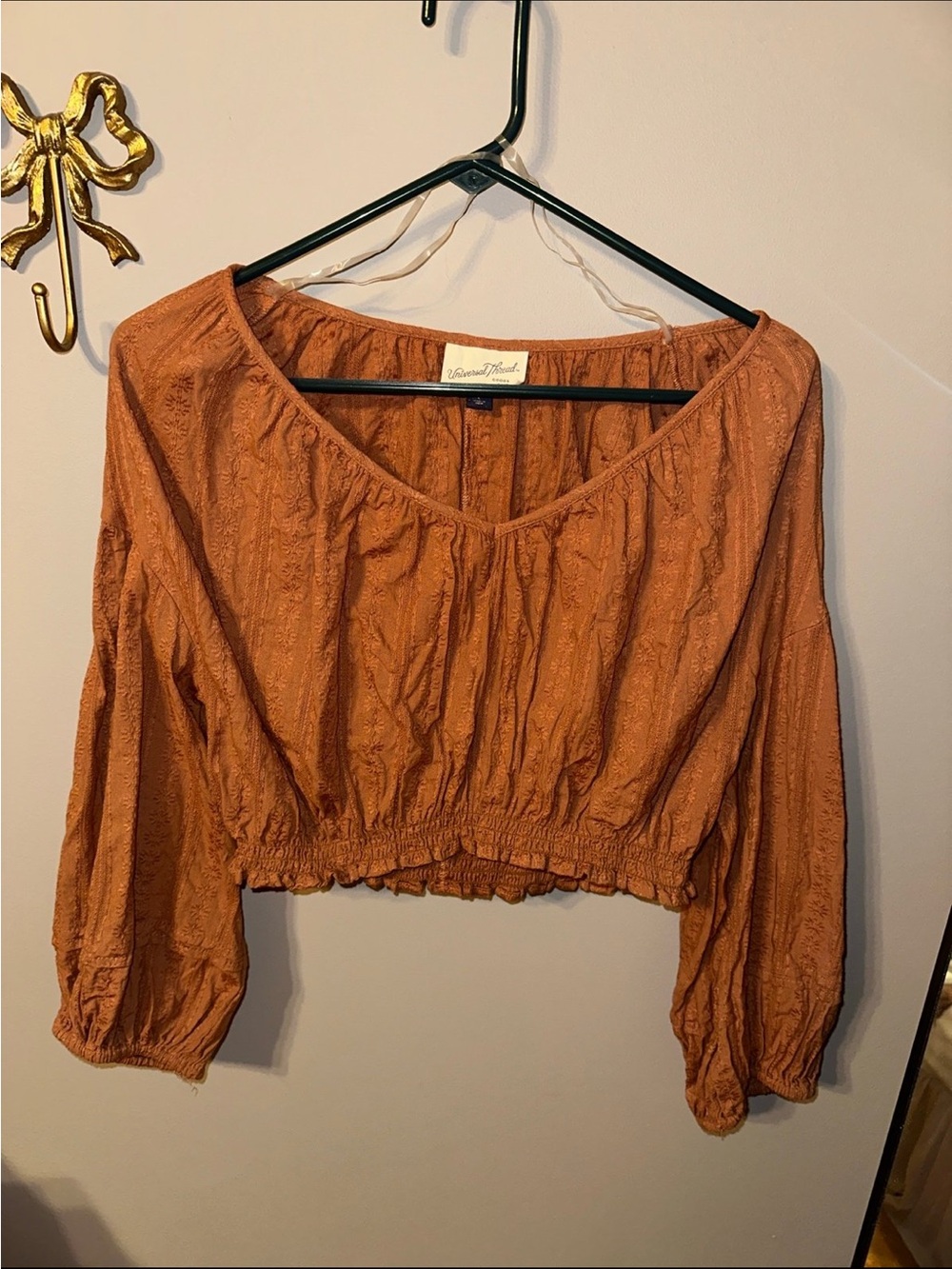 Universal Thread Rust Orange Cropped Peasant Top
